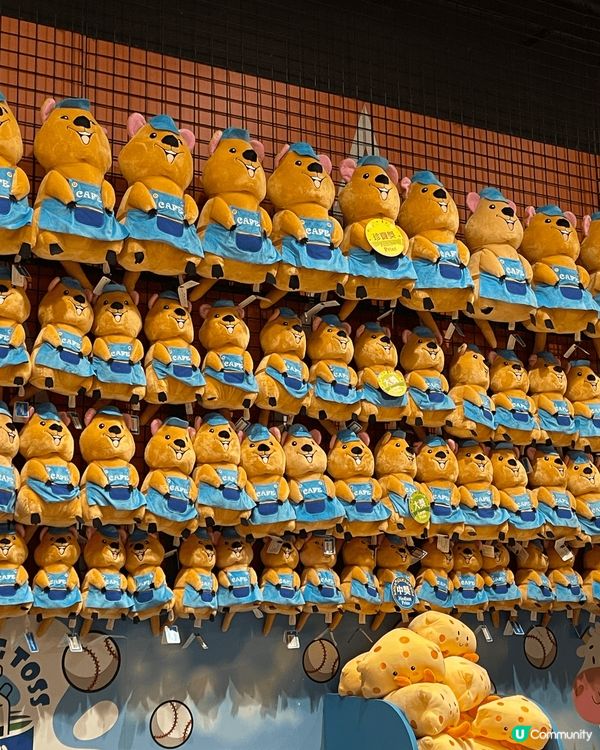 其實海洋公園都好好玩～ 特別係一家大細，睇睇海洋生物，又可以...