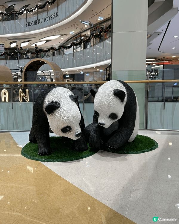旺角Moko商場有很多熊貓的裝飾，熊貓也有不同的形態，很配合...