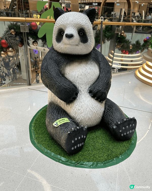 旺角Moko商場有很多熊貓的裝飾，熊貓也有不同的形態，很配合...