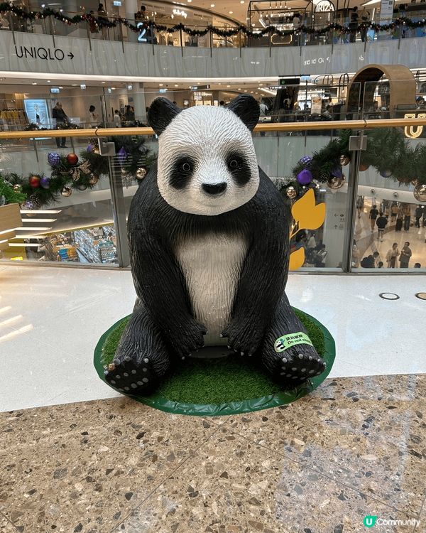 旺角Moko商場有很多熊貓的裝飾，熊貓也有不同的形態，很配合...