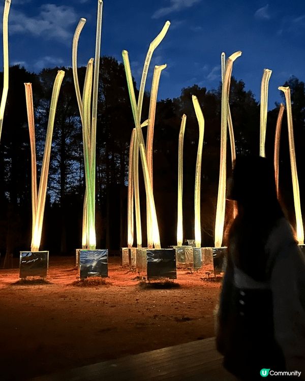 大阪依個team lab🥚🌾