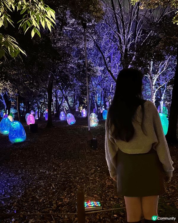 大阪依個team lab🥚🌾