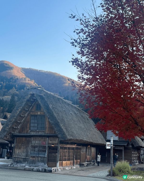 終於去到白川鄉睇世界文化遺產合掌村🥰今日天氣好配合👍🏻景色無...