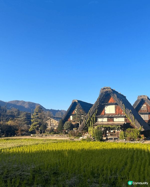 終於去到白川鄉睇世界文化遺產合掌村🥰今日天氣好配合👍🏻景色無...