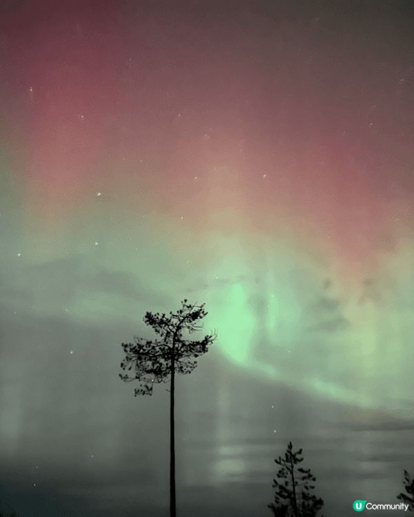 芬蘭的聖誕老人村跟極光，一定是最有聖誕氣氛的地方！