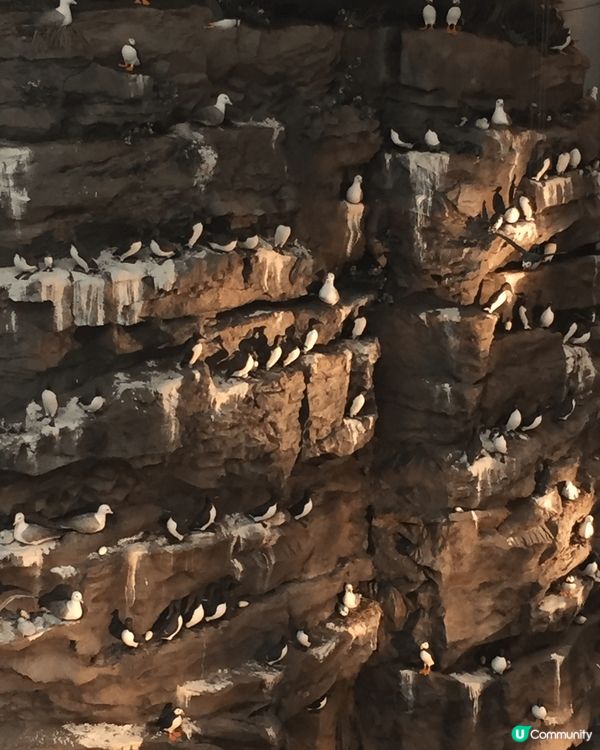 冰島旅程，浸溫泉、逛教堂、出海賞鯨、看千年冰山、漫步黑沙灘、...