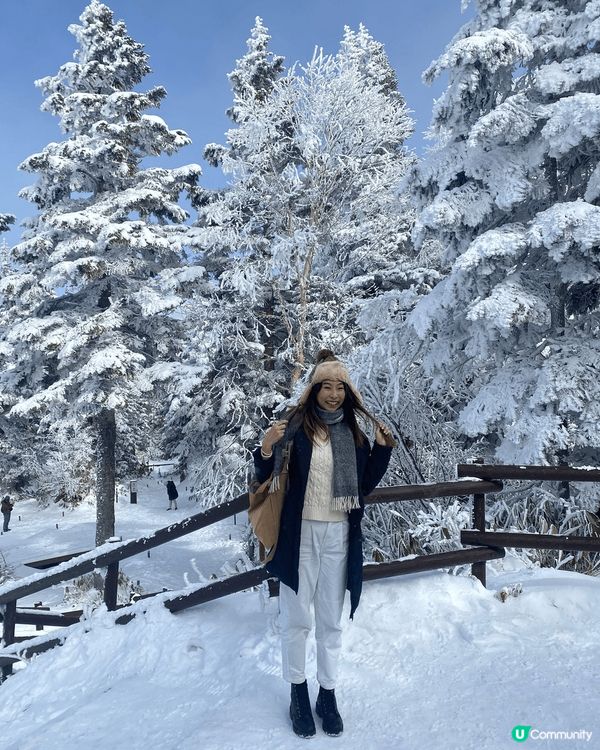 日本白色雪景登山吊車，夢幻埸景飄雪紛紛。香港火紅紅聖誕樹熱鬧...