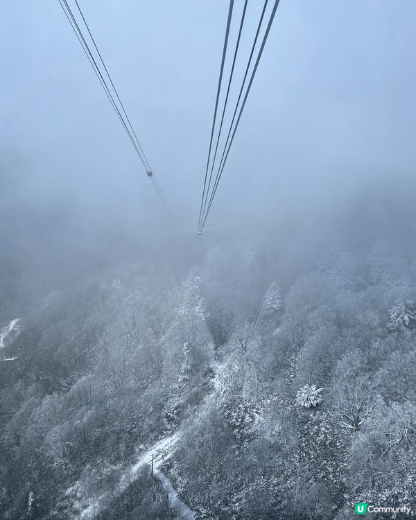 日本白色雪景登山吊車，夢幻埸景飄雪紛紛。香港火紅紅聖誕樹熱鬧...