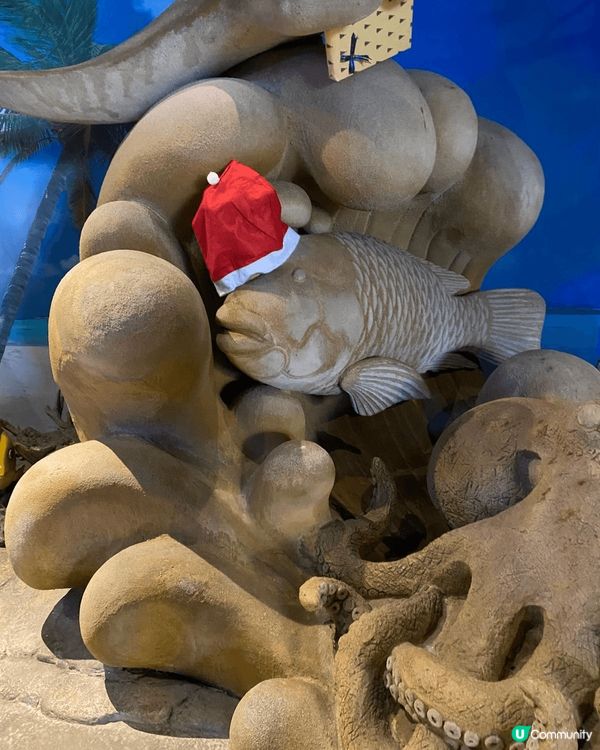 海洋公園嘅館內其實有很多唔顯眼嘅聖誕佈置要細心睇先會見到㗎！