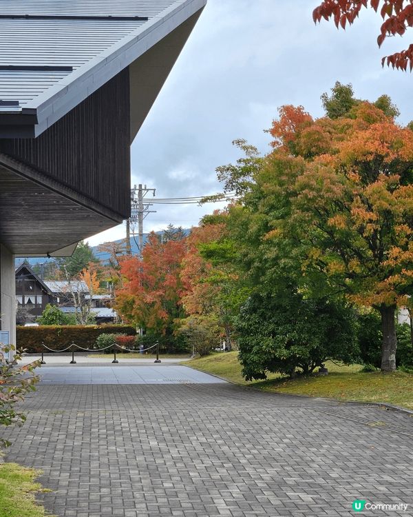 今年十月尾，在東京之行秋了一天到輕井澤探索，剛好是秋葉開始轉...