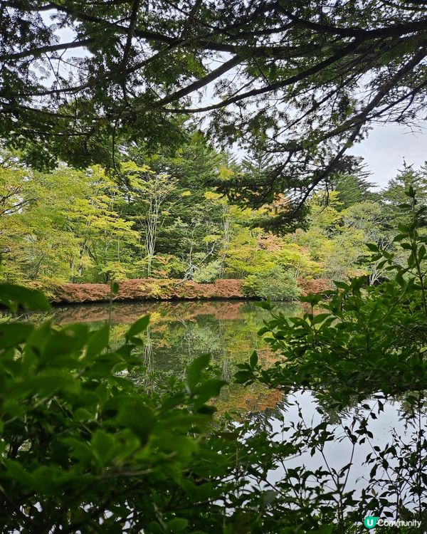 今年十月尾，在東京之行秋了一天到輕井澤探索，剛好是秋葉開始轉...