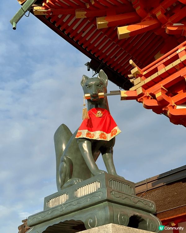 京都伏見稻荷大社有好鳥居鳥居鳥居鳥居鳥居鳥居鳥居鳥居鳥居⛩️...