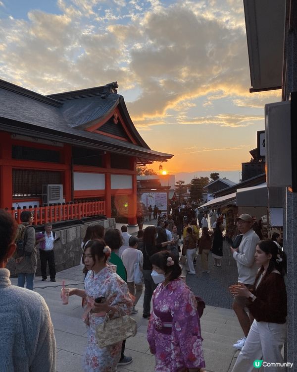 京都伏見稻荷大社有好鳥居鳥居鳥居鳥居鳥居鳥居鳥居鳥居鳥居⛩️...