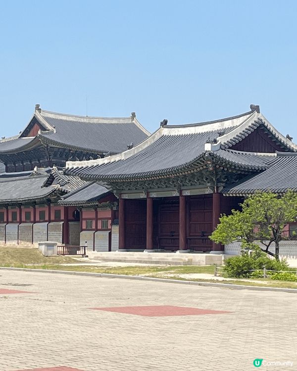 韓國打卡明洞教堂同景福宮 影出黎好宏偉  非常多遊客慕名去打...