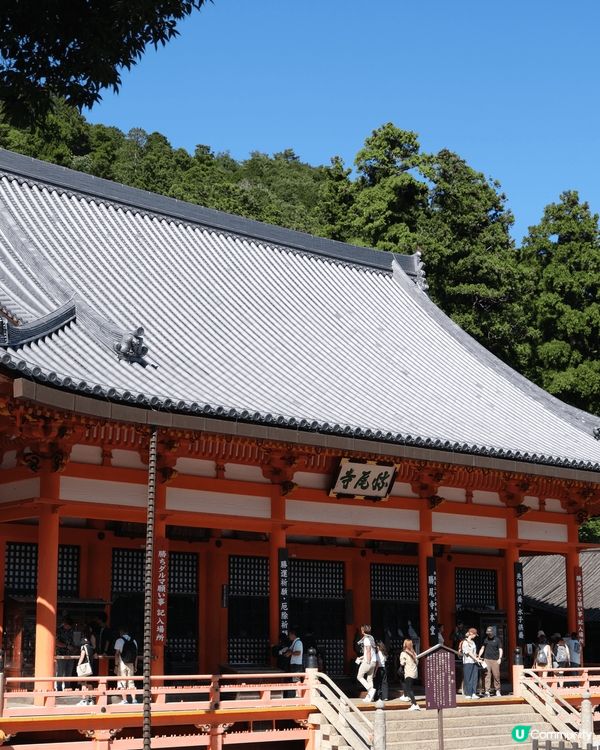 勝尾寺位於日本大阪府，是一座具有悠久歷史的佛教寺廟，以其美麗...