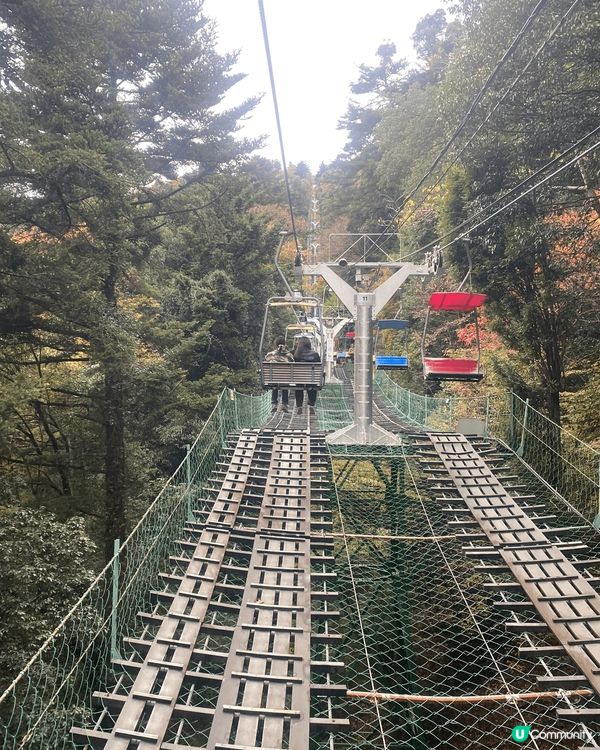 東京近郊 - 高尾山