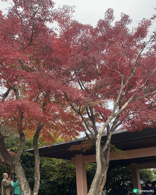 東京近郊 - 高尾山