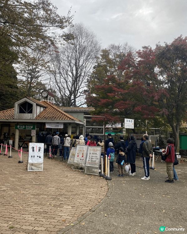東京近郊 - 高尾山