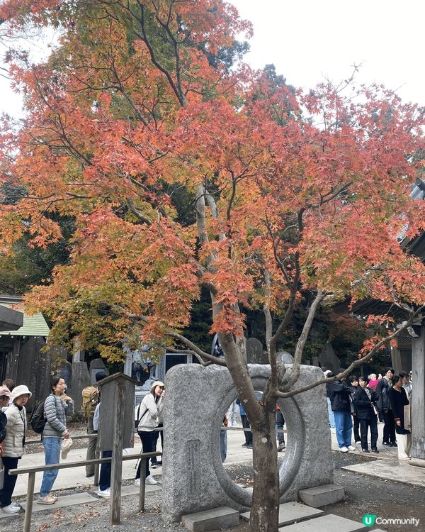 東京近郊 - 高尾山