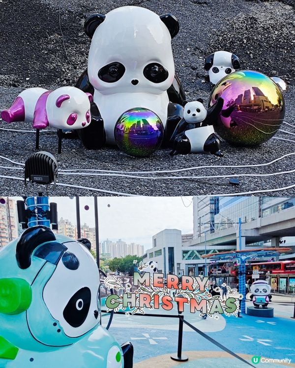 超可愛😍 80隻大大小小不同造型的熊貓🐼🎋