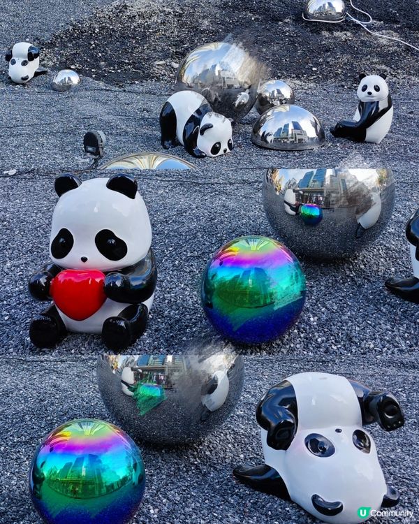 超可愛😍 80隻大大小小不同造型的熊貓🐼🎋