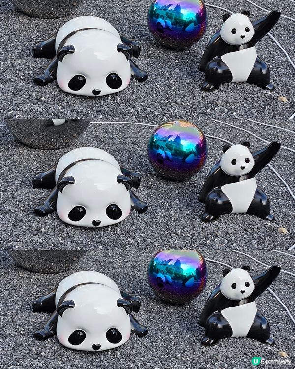 超可愛😍 80隻大大小小不同造型的熊貓🐼🎋