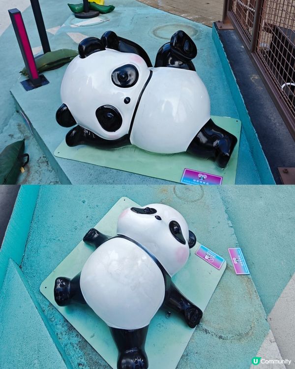 超可愛😍 80隻大大小小不同造型的熊貓🐼🎋