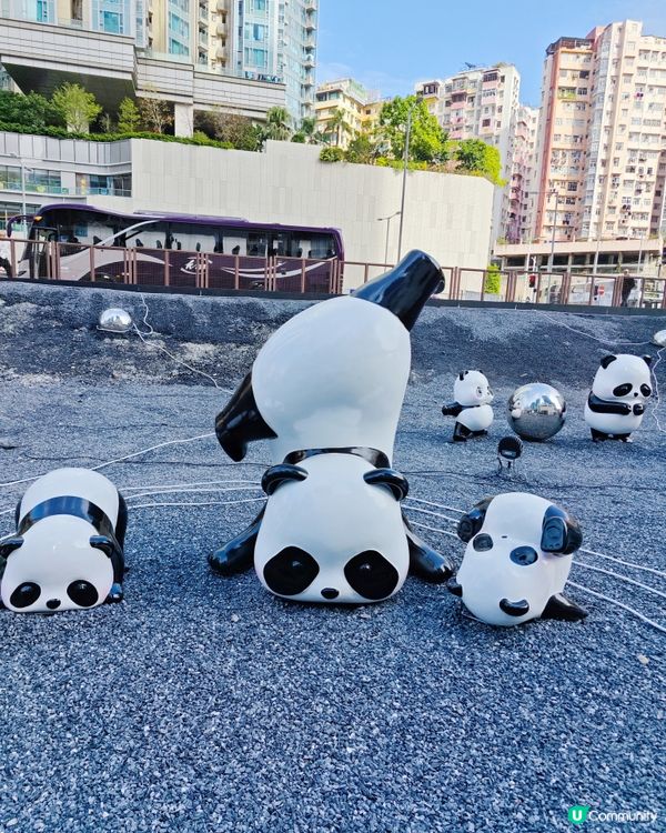 超可愛😍 80隻大大小小不同造型的熊貓🐼🎋