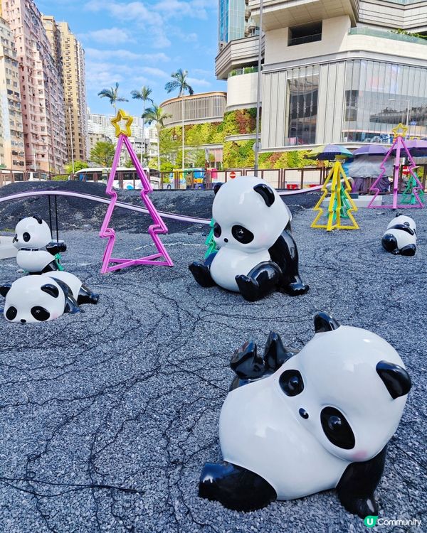 超可愛😍 80隻大大小小不同造型的熊貓🐼🎋