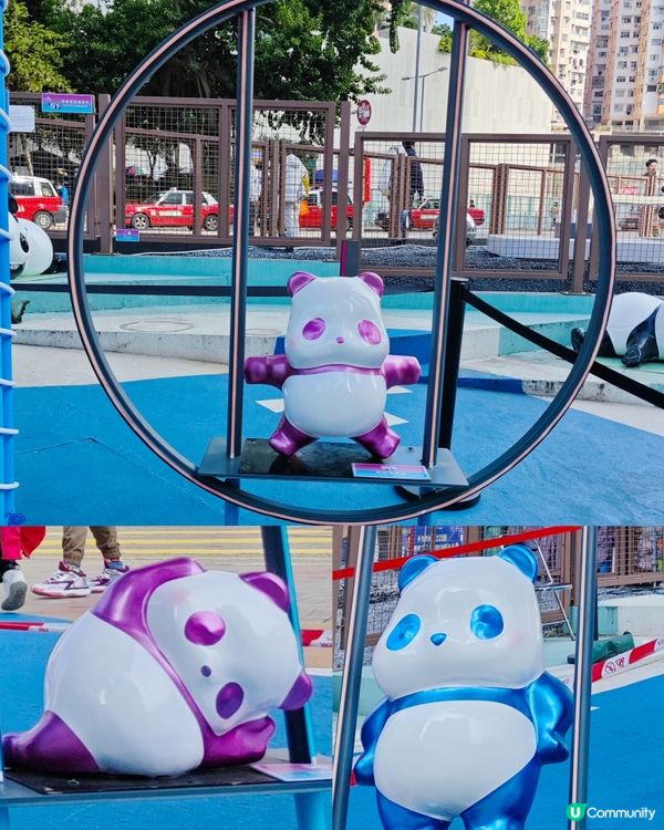 超可愛😍 80隻大大小小不同造型的熊貓🐼🎋