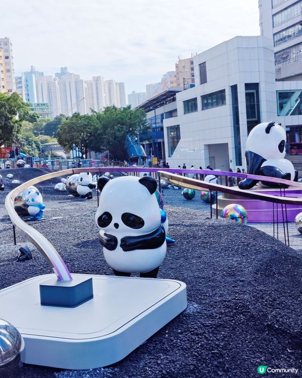 超可愛😍 80隻大大小小不同造型的熊貓🐼🎋