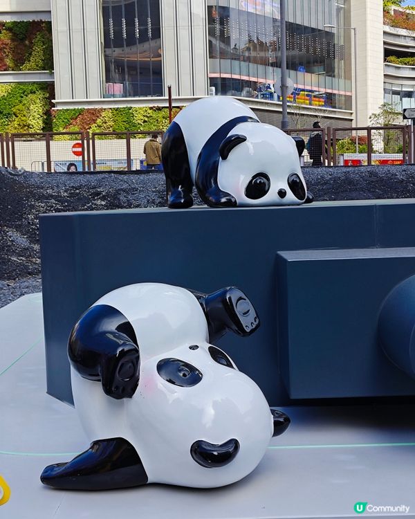 超可愛😍 80隻大大小小不同造型的熊貓🐼🎋