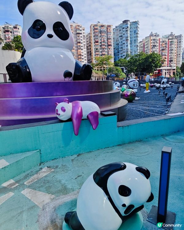 超可愛😍 80隻大大小小不同造型的熊貓🐼🎋