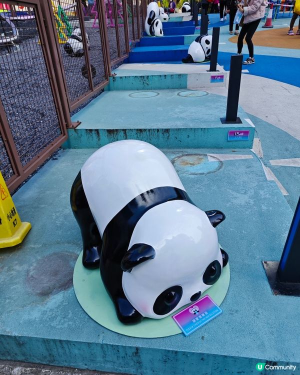 超可愛😍 80隻大大小小不同造型的熊貓🐼🎋