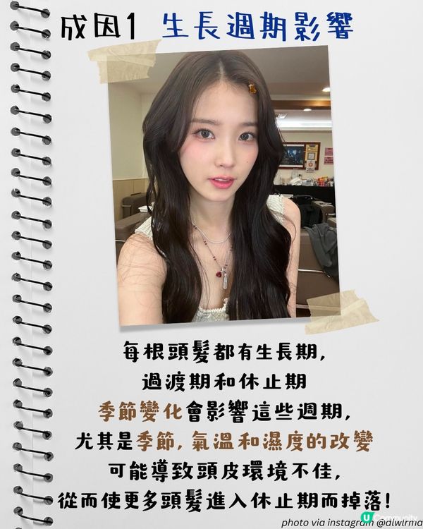 轉季甩頭髮四大原因 + 改善脫髮方法！食啲咩有助毛囊生長？4個壞習慣超傷髮！