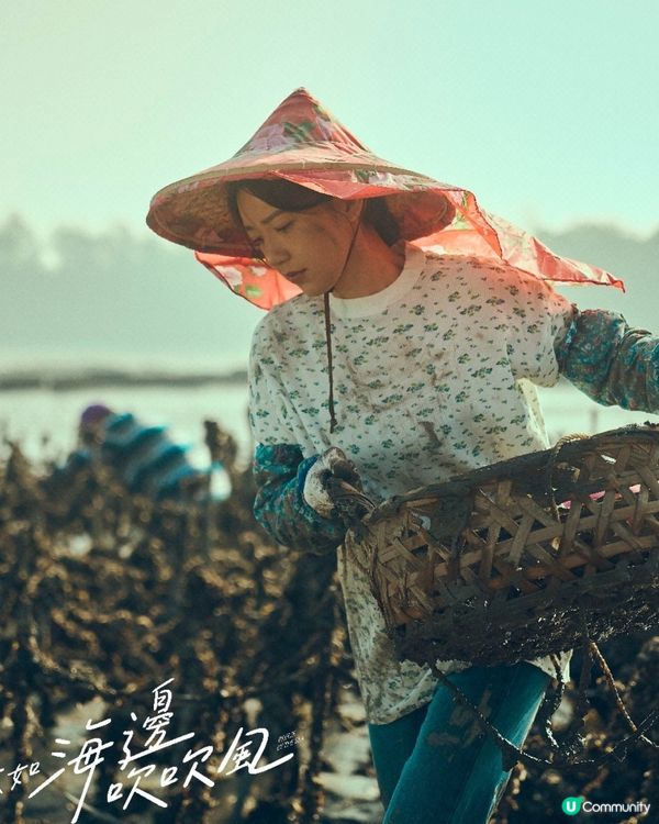 不如海邊吹吹風陳柏霖飾演落難大明星 遇上鄉姑郭雪芙冤家變情侶 附追劇日曆