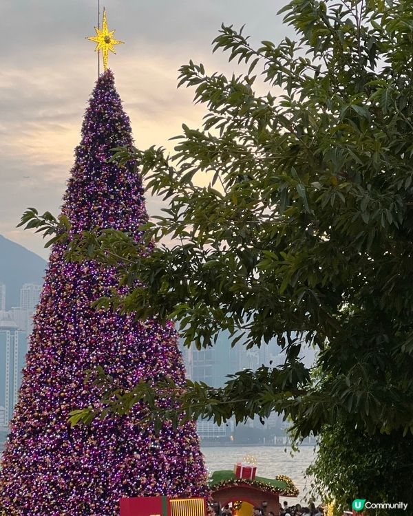 聖誕必去📸西九文化區聖誕小鎮🎄🎅🏻✨