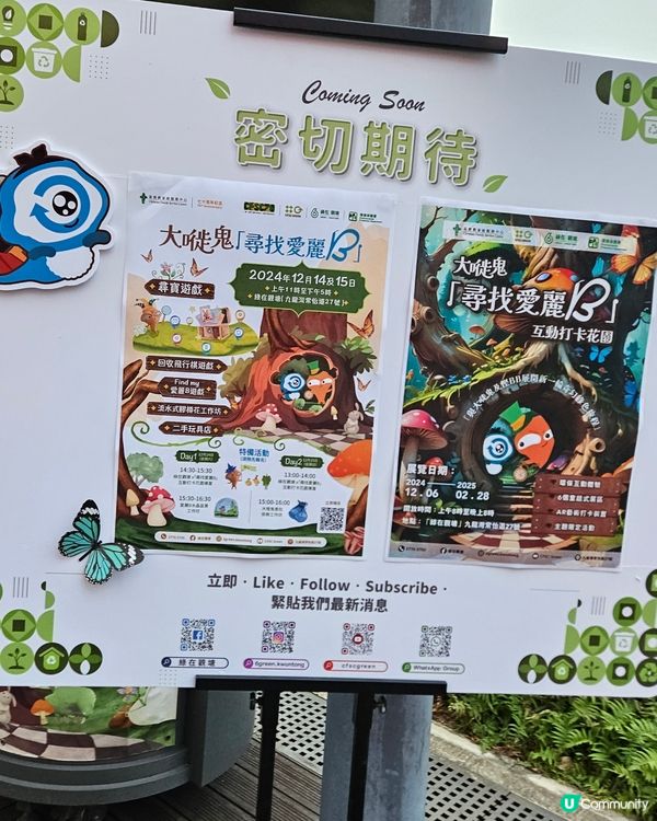 大嘥鬼尋找愛麗B