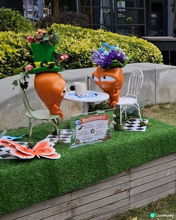 大嘥鬼尋找愛麗B