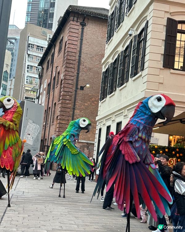 馬會 x 大館 — 小心意 • 大眾樂 2024