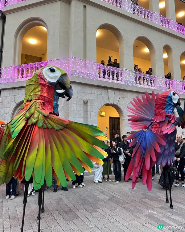 馬會 x 大館 — 小心意 • 大眾樂 2024