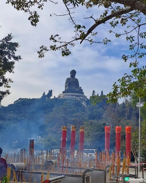 大佛可愛大熊貓🤩