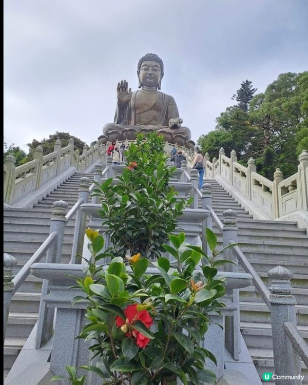 大佛可愛大熊貓🤩