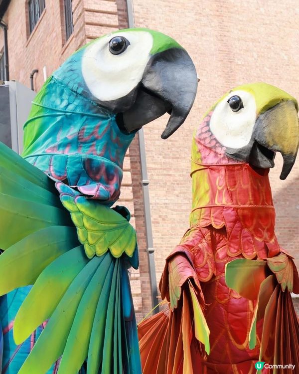 聖誕🎄大館玩轉馬戲🎪