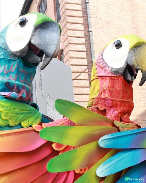 聖誕🎄大館玩轉馬戲🎪