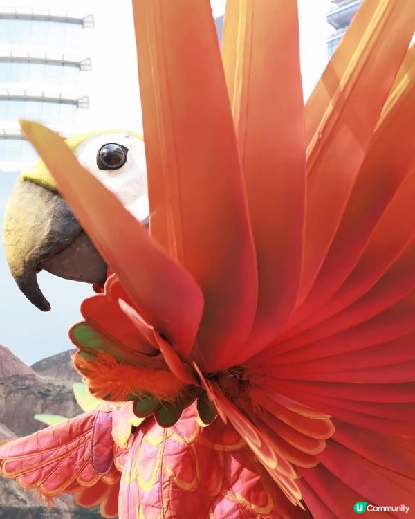 聖誕🎄大館玩轉馬戲🎪