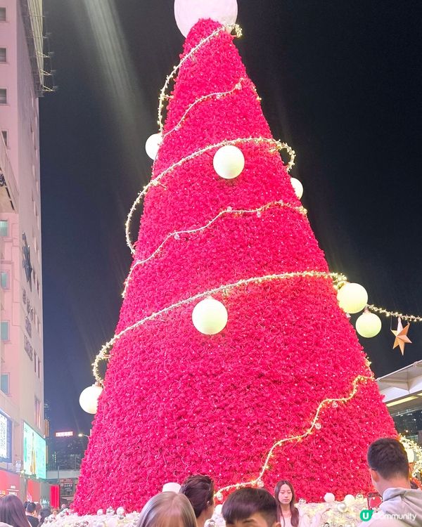 似唔似聖誕帽👒👒