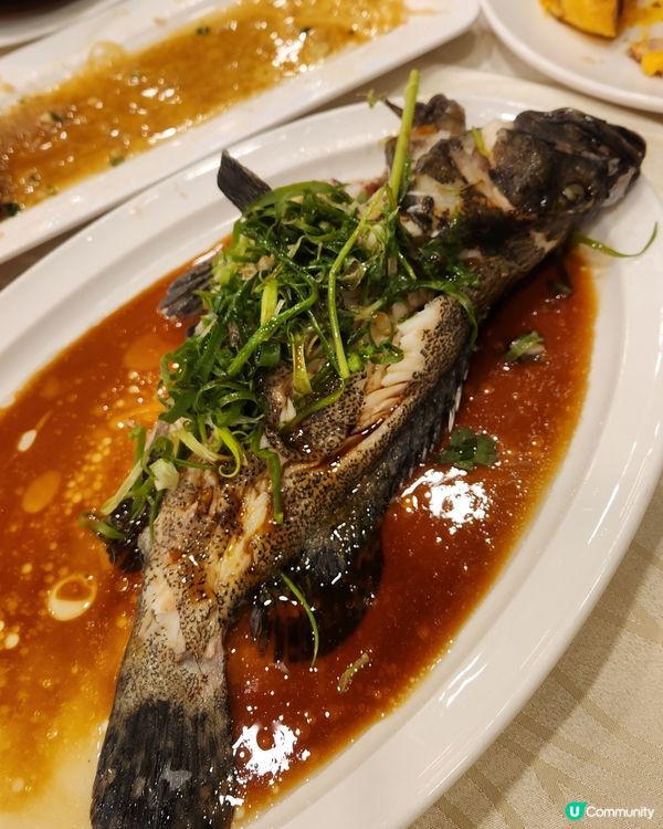 青衣長發新酒樓 👍🏻