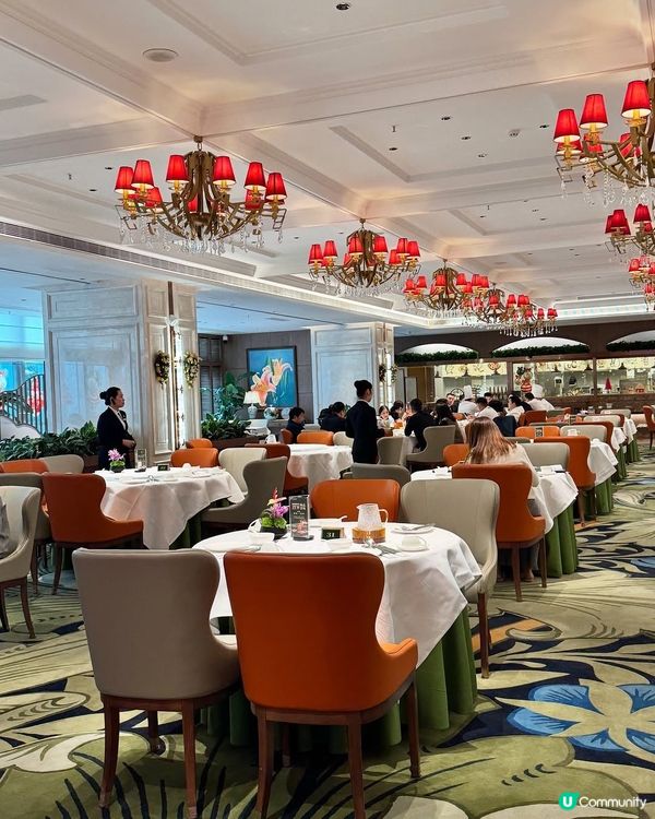 ## 深圳南山悦景匯酒家飲早茶😋