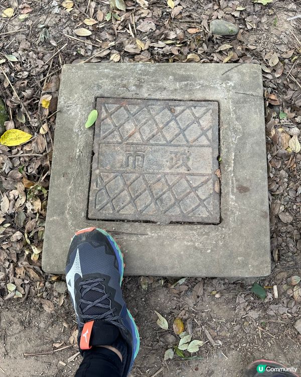 郊遊@紅花嶺郊野公園